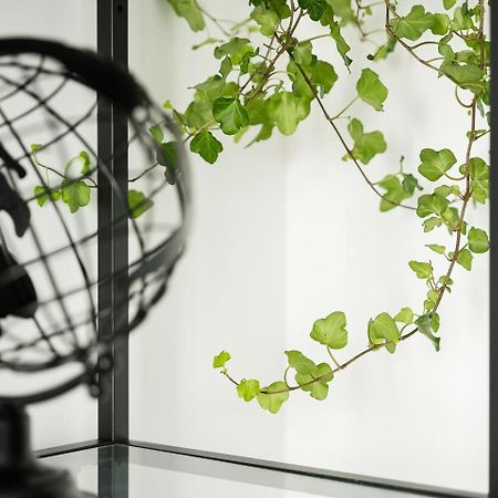 Guestready - Serene Stay In 포르투 외부 사진